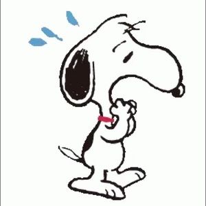 Meet your Posher, Joanne